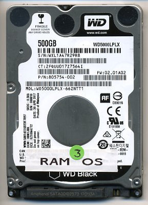 RAM-OS Disk (500GB HDD)